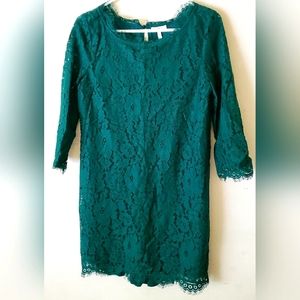 Joie Womens Dark Green Laced Dress